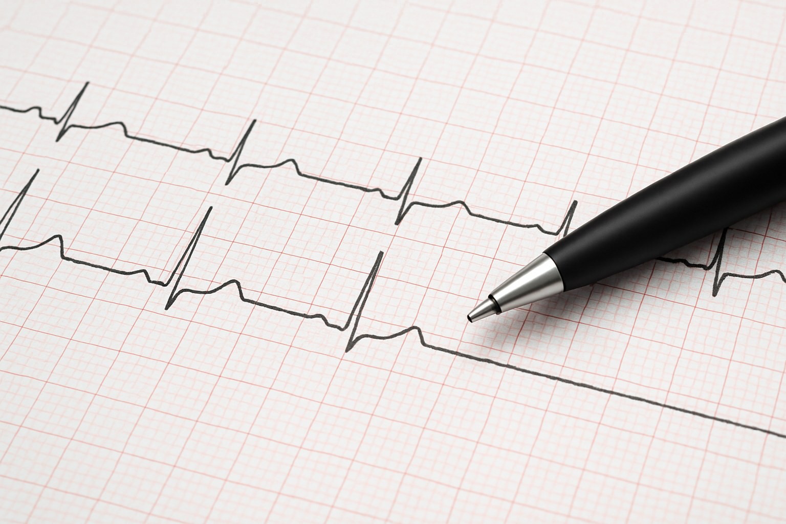 ChatGPT Image 2025821 154128 ChatGPT Image 2025821 154128