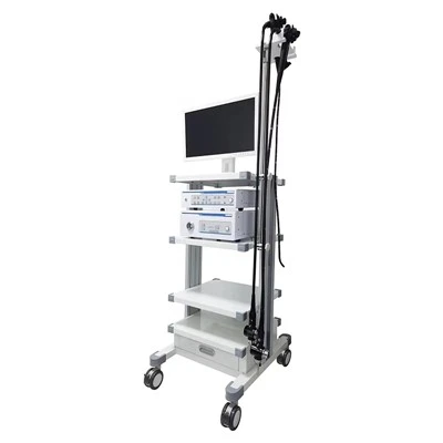 Video medicininė endoskopinė sistema